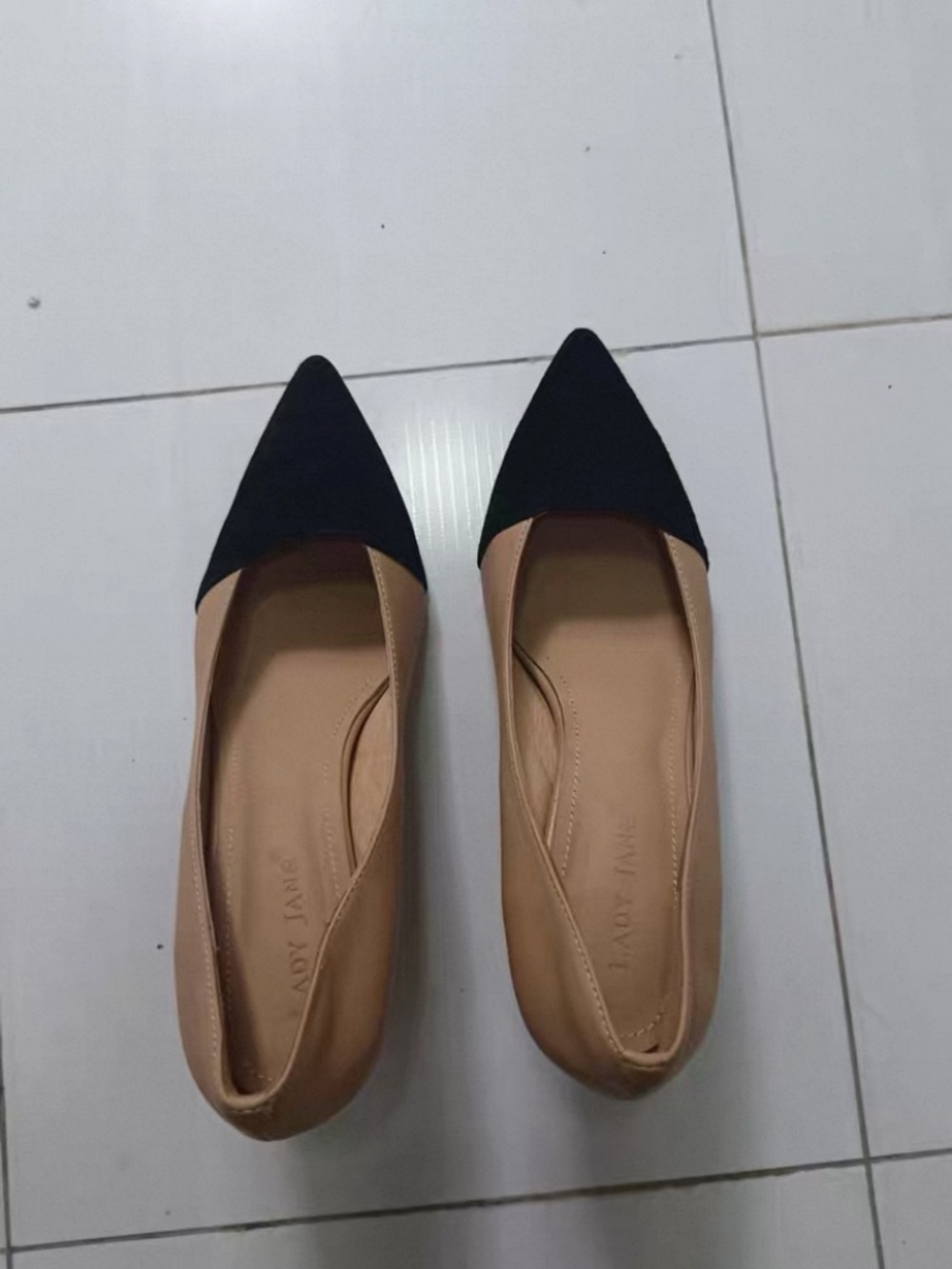 Two-Tone Pointed Toe Flats in Black and Nude